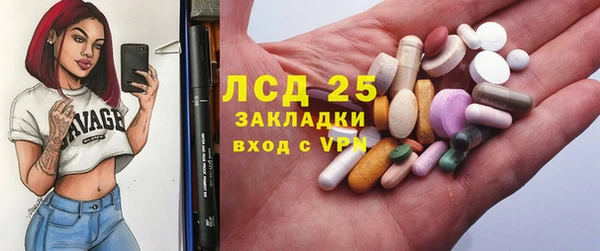 эйфоретик Алзамай