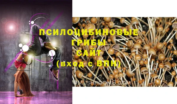 a pvp Алексин