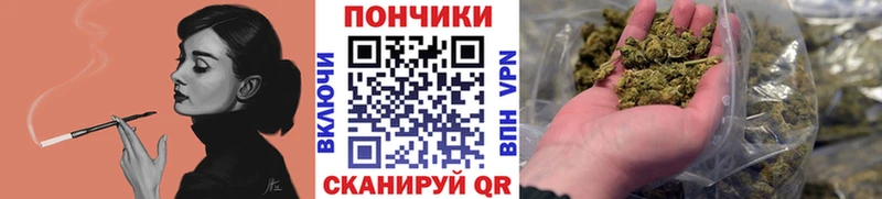 Шишки марихуана план  как найти закладки  Наволоки 